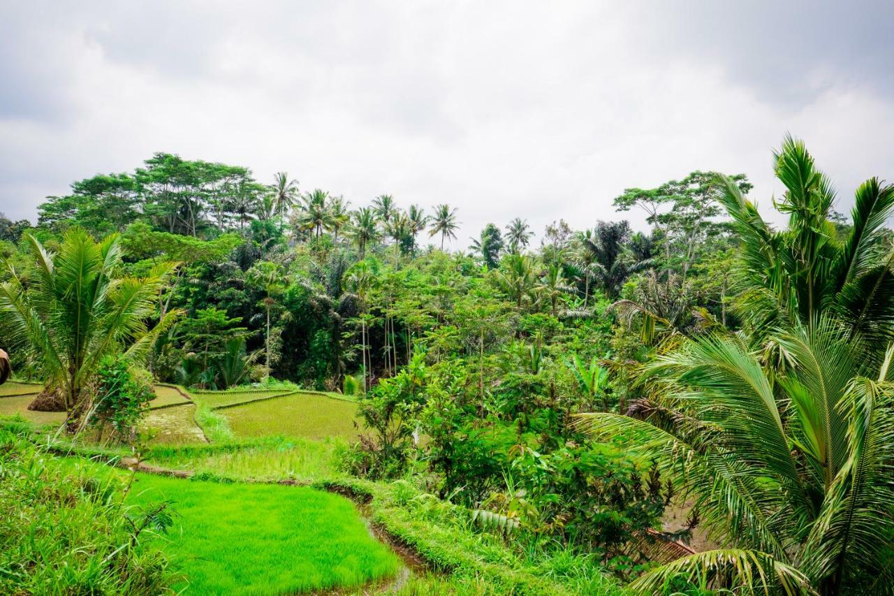 Vanilla Cottage Tetebatu Exterior foto